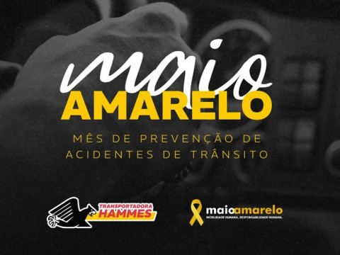 Atitudes simples e responsáveis fazem toda a diferença